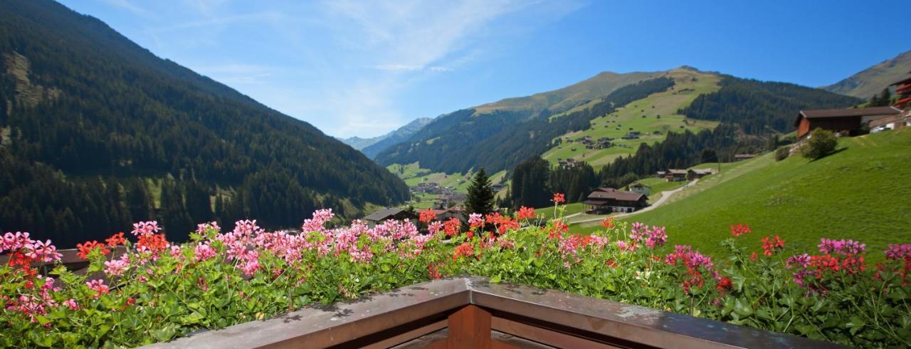 Schöne Aussicht Apartment
